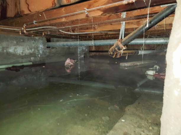 Best Sewage cleanup and water damage restoration  in Huntersville, NC
