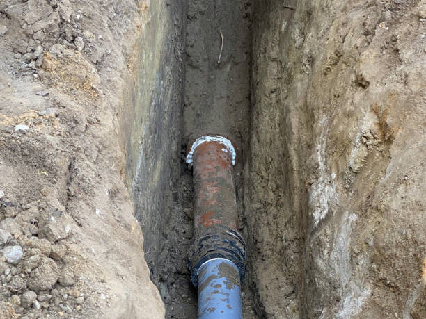 Best Flood damage cleanup  in Huntersville, NC