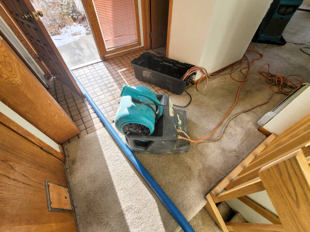 Best Flood restoration services  in Huntersville, NC